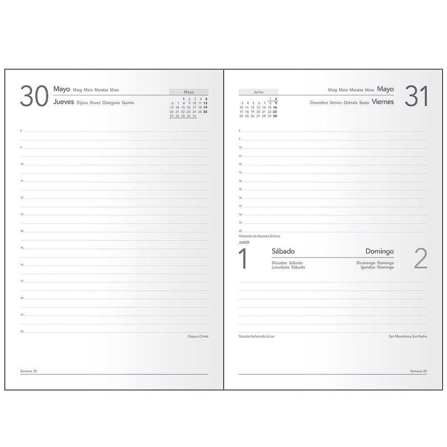 Papeler A Dohe Agendas | Agenda 2024 D A P Gina 14X20 Negra S Ntex