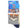 Regalo Paw Patrol Calcetines Divertidos | Patrulla Canina Pack 3 Calcetines Surtidos Tallas 23 A 34