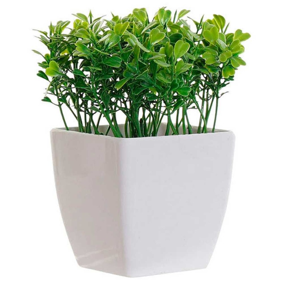 Home & Deco Item Jarrones Y Plantas | Maceta Con Planta Arbusto Verde 15X4 - 3 Modelos