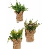 Home & Deco Genérico Jarrones Y Plantas | Planta Artificial Flor Saco 23Cm 4 Modelos