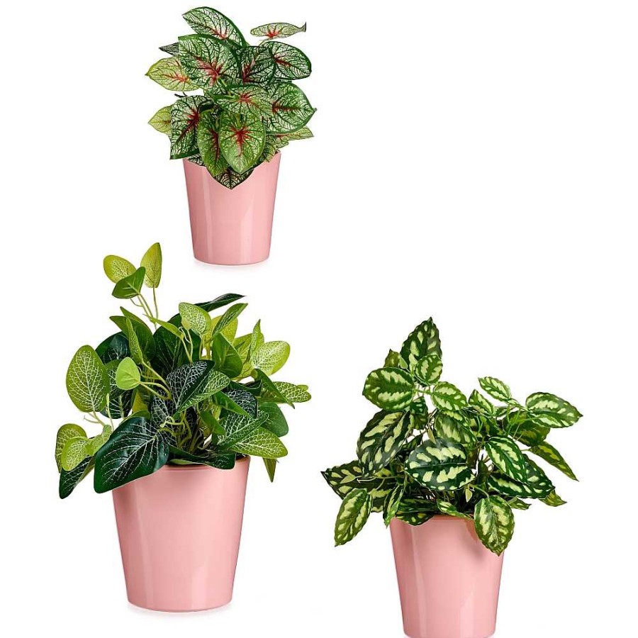 Home & Deco Ibergarden Jarrones Y Plantas | Set 3 Maceteros Cer Mica Rosa 16X16