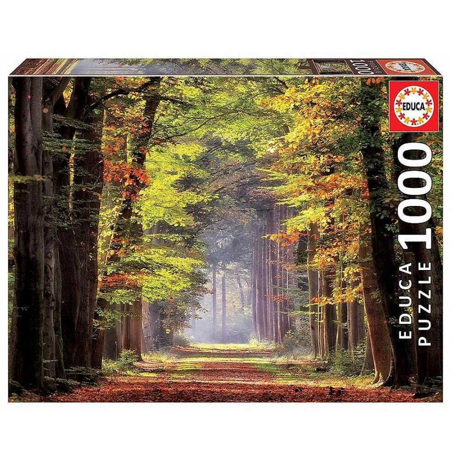 Juguetes Educa Puzzles 300-1000 Piezas | Puzzle Educa 1000 Piezas Paseo Oto Al