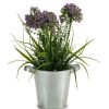 Home & Deco Ibergarden Jarrones Y Plantas | Macetero Metal Cinc Con Asas 20X16X14