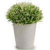 Home & Deco Ibergarden Jarrones Y Plantas | Planta Artificial Maceta 14X14X15