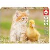 Juguetes Educa Puzzles 300-1000 Piezas | Puzzle Educa 500 Piezas Amigos Adorables