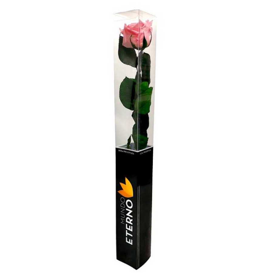 Regalo Alco Distribuciones San Valent N - Enamorados | Rosa Preservada En Blister Tallo 55 Cm Rosa