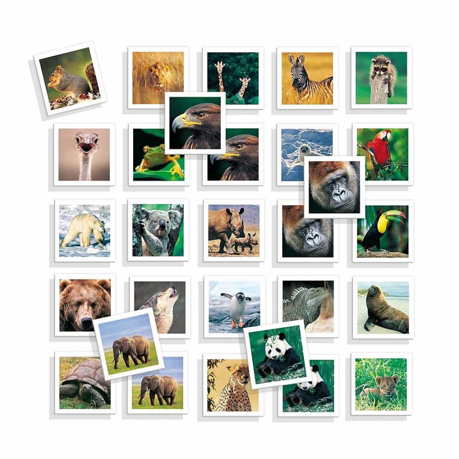 Juguetes Diset Juegos De Memoria | Memory Animales Fotos Diset + 3 A Os