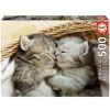 Juguetes Educa Puzzles 300-1000 Piezas | Puzzle Educa 500 Piezas Dulces Gatitos